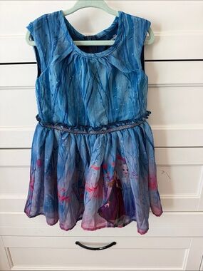 Disney Blue and Pink Frozen II Anna & Elsa Chiffon Party Dress